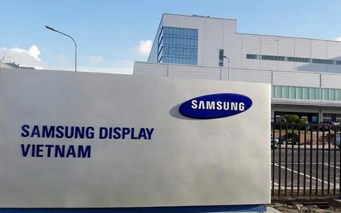 Bệnh nhân số 262 là nhân viên làm việc tại bộ phận Kiểm tra chất lượng, Công ty TNHH Samsung Display Việt Nam