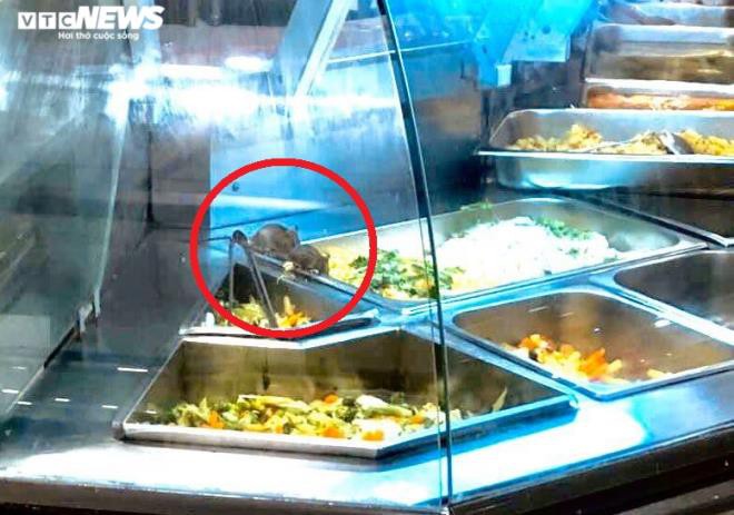 Kinh hãi chuột bò lúc nhúc trên quầy thức ăn ở Aeon Mall Tân Phú TP.HCM - 1