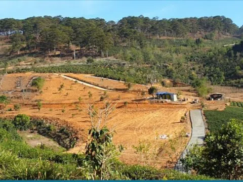 Lâm Đồng: Xuất hiện dự án ma Laputa Garden