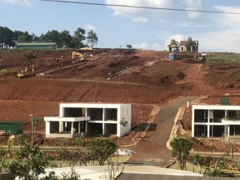 Lâm Đồng: Cận cảnh những đồi chè, cà phê biến thành hàng loạt "dự án" phân lô