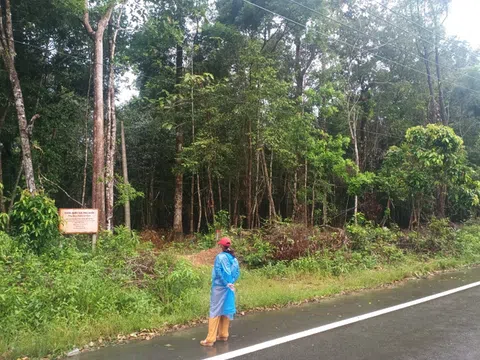 Kiên Giang: Nhiều khuất tất về giao đất rừng giữa Cityland Phú Quốc và Vườn quốc gia Phú Quốc