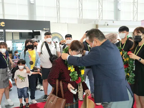 Tin vui: Thêm loạt đường bay Busan đi vào hoạt động: Bay ngay Hàn Quốc với vé Vietjet chỉ từ 280.000đ