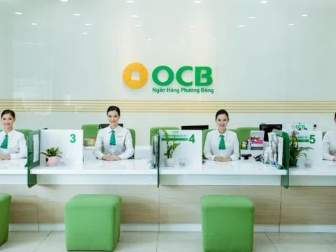 OCB rót vốn cho công ty gia đình Chủ tịch Trịnh Văn Tuấn