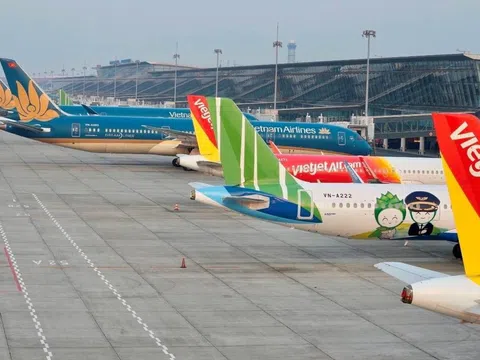 "Một hãng hàng không khá lớn của Việt Nam đã báo cáo Chính phủ xin bảo hộ phá sản"