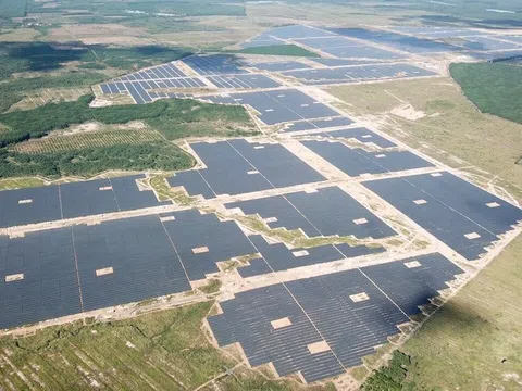 Bình Phước: Công ty Lộc Ninh 3 xây dựng nhà máy điện mặt trời trên đất rừng