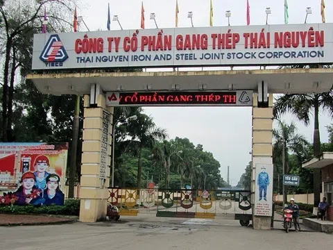 ‘Khai tử’ dự án của Gang Thép Thái Nguyên và Tập đoàn Tiến Bộ