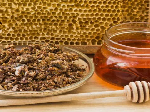 Keo ong – Bí quyết giữ gìn sức khỏe của giới thượng lưu
