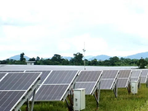 Dự án điện mặt trời lấn 247,7 ha rừng tự nhiên: Chủ doanh nghiệp “đòi” tỉnh khen