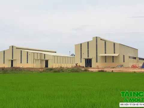 Vụ Công ty Mía đường Lam Sơn xây dựng Trung tâm chế biến nông sản trái phép: Xử phạt 17,5 triệu đồng