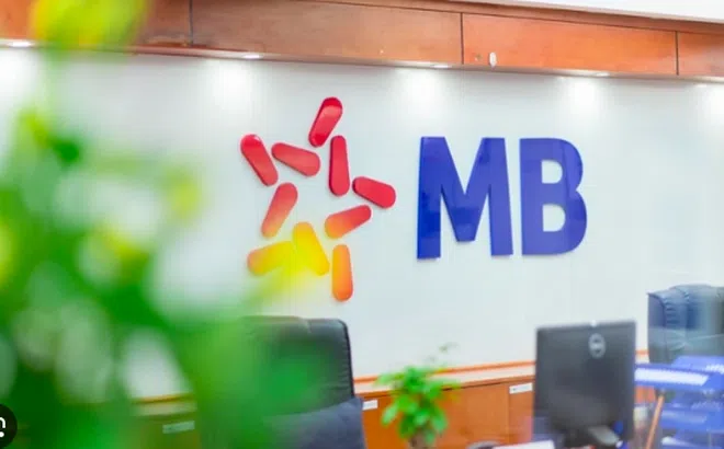 Tình hình tín dụng của Novaland, Sun Group và Trung Nam tại MBB thế nào?